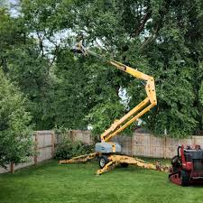 Leaf Removal in Park Ridge, NJ