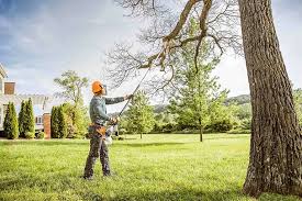 Best Hedge Trimming  in Park Ridge, NJ